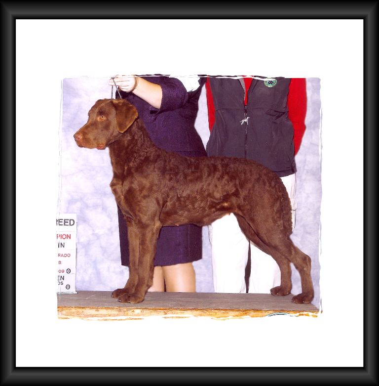 Sire Photos
